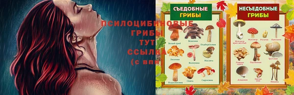 стафф Волосово